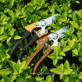 Garden Tools Gardening Shears Branch Shears